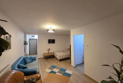 Garsonieră decomandată în Gojdu - 9