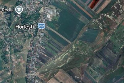 Teren de 15994 mp, în Horlești - 4