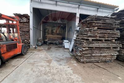 Spațiu industrial, de 7,756 mp, în Cerăt - 43