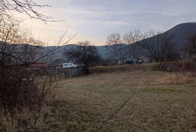 Teren de 1500 mp, în Pângărați - 3
