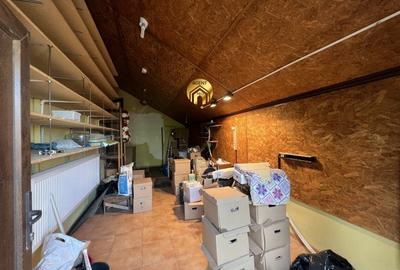 Doua vile individuale in aceeasi curte - 550mp teren - 23