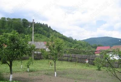 Casă cu 4 camere cu Teren 1650 Mp în Ferestrău-Oituz - 3