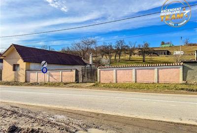 Teren Construcții intravilan de 1249 mp, în Araci - 3