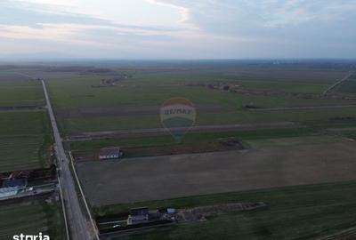 Teren de 12360 mp, în Vulturu - 7
