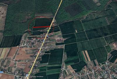 Ciolpani - Dn1 Stradal, teren intravilan, suprafata 4.676 mp - 1