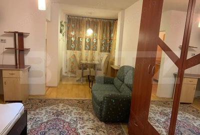 Garsoniera de vanzare, 32 mp, zona Aleea Carpati - UMF - 4