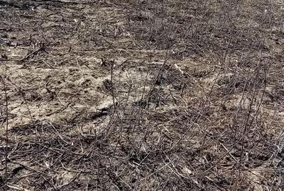 Spațiu comercial, în Independența - 1