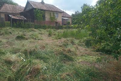 Casă cu 3 camere în Dăbâca - 2