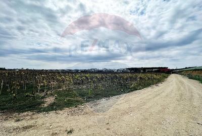 Teren Construcții intravilan de 14863 mp, în Ciorogârla - 2