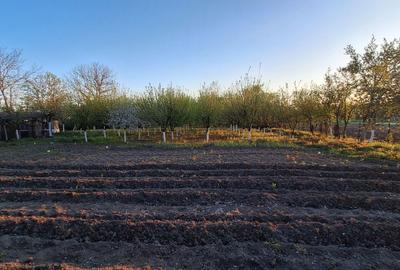 Casă cu 4 camere în Berechiu - 2