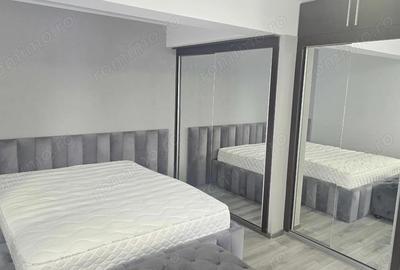 Inchiriez apartament cu 4 dormitoare, GARAJ in Vila, zona Liliacului, P+E+M, - 18