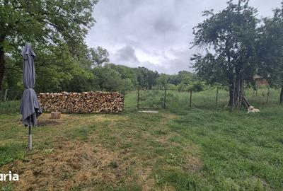Casă cu 3 camere cu Teren 3300 Mp în Crișeni - 15