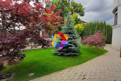 Spatiu de birouri deosebit - 160 mp - 13