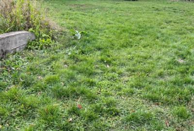 Teren de 1590 mp, în Dezmir - 2