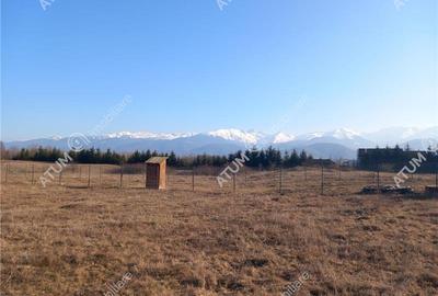 Teren intravilan 3000 mp de vanzare pe Valea Avrigului drum asfaltat - 12