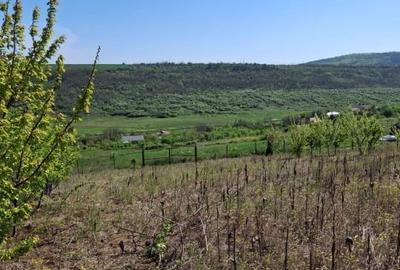 Tren in zona Copou  ,  Numarul de tel. nu este corect scrieti mesaj. - 6