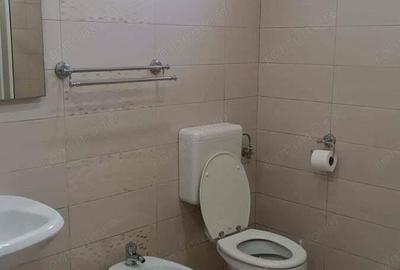 Inchiriere garsoniera Ferdinand - 4