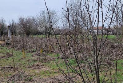 Spațiu comercial, în Goicea - 5