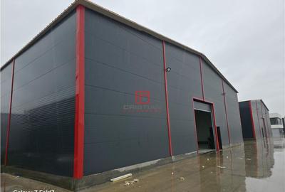 Spațiu comercial, de 600 mp, în Theodor Pallady - 5