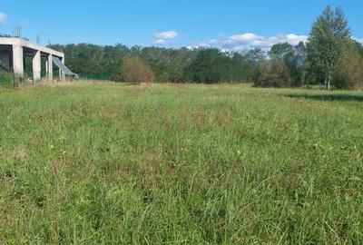 TEREN INTRAVILAN\699 mp, 45€ mp\ CARANSEBEȘ\ ZONA TEIUȘ - 1