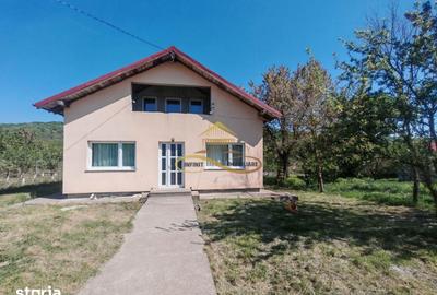 Casă cu 3 camere cu Teren 10000 Mp în Pâncești - 4
