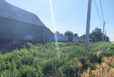 Casă cu 3 camere cu Teren 993 Mp în Pesac - 4