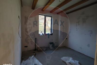 Casă cu 5 camere cu Teren 4000 Mp în Răzvad - 12