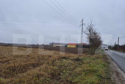 Teren de 2500 mp, în Sud