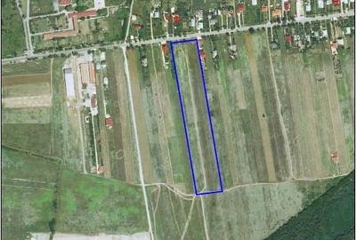 Teren Construcții intravilan de 25021 mp, în Vlădiceasca - 3