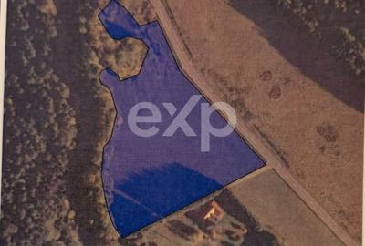 Teren Construcții extravilan de 19200 mp, în Brădet - 8