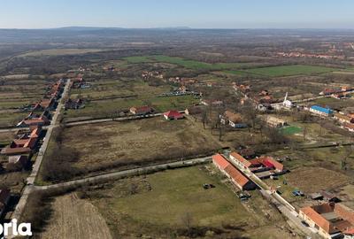 Casă cu 8 camere cu Teren 7235 Mp în Traian Vuia - 17