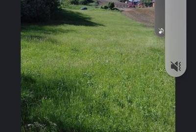 Spațiu comercial, în Mihai Eminescu