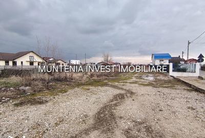 Teren de 7000 mp, în Bradu - 6