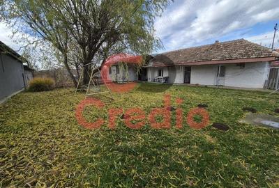 Casă cu 2 camere cu Teren 1200 Mp în Peciu Nou - 1