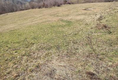 Teren de 4200 mp, în Bucea - 2