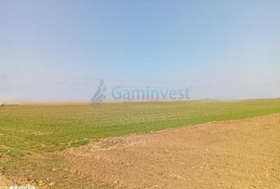 Spațiu comercial, în Biharia - 4