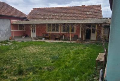 Casă individuală cu 5 camere cu Teren 3097 Mp în Șuștiu - 8