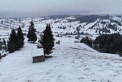 Teren de 25731 mp, în Breaza - 4