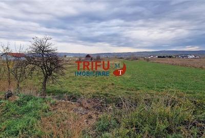 Teren 2160mp în  Partoș - 9