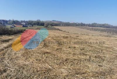 Casa individuala 100mp cu teren 8000mp - 10