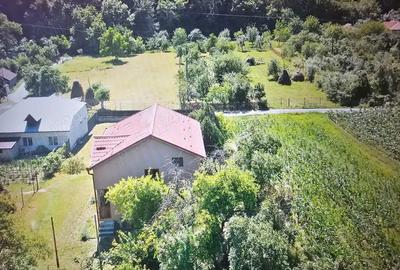 Casă cu 3 camere în Băile Herculane - 10