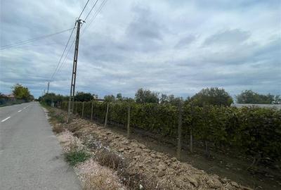 Teren Construcții intravilan de 1000 mp, în Iazurile - 10