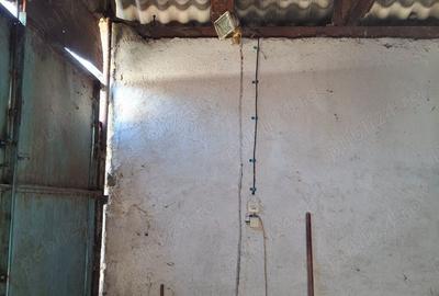 Vand la 300 m fata de dunare in pojejena Vand la 300 m fata de dunare in pojejena - 4