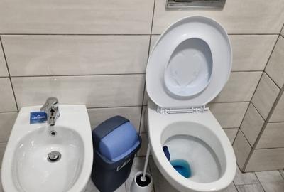 Apartament cu 2 camere decomandat în Ostroveni - 11