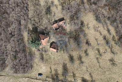 Teren Construcții intravilan de 24253 mp, în Predeluț - 3