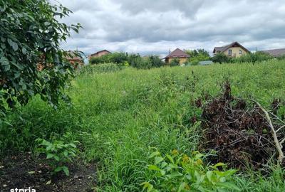 Spațiu comercial, în Apahida - 2