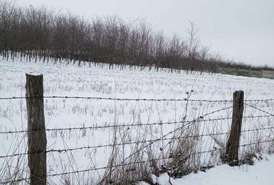 Teren de 3931 mp, în Amărăști - 1