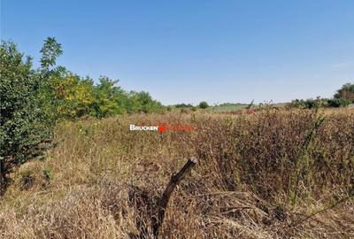 Teren de 1773 mp, în Toboliu - 1