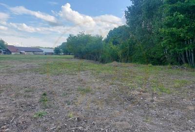 Teren intravilan 1843 mp - Cerbu/Albota/Arges - cu proiect d - 3