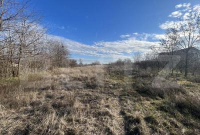 Teren de 1100 mp, în Central